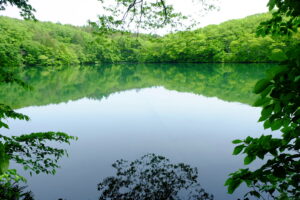 新緑の男沼